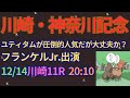神奈川記念2023予想【川崎競馬】調教診断＋AI予想＋買い目。