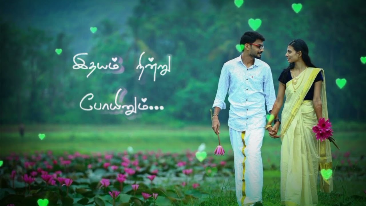 Tamil_love_song_black_screen_lyrics_WhatsApp_status_MSD_editz(1080p