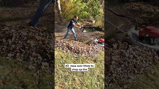 Stop Wasting Leaves - Do This Instead