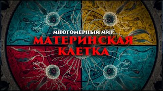картинка: Многомерный мир: Материнская клетка