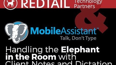 Mobile Assistant Spotlight