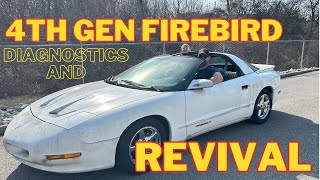 1994 Pontiac Firebird Formula LT1 ~Will It Run??~ #automobile #revival