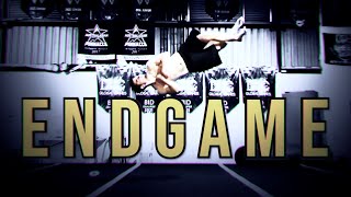 Endgame | 2024 Tricking Sampler