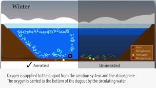 Pond & Lake Aeration Explained (4 seasons)