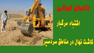 اشتباه مرگبار کاشت نهال درمناطق سردسیر