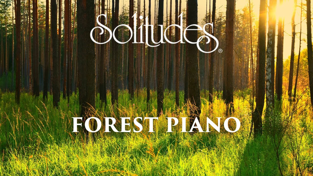 Dan Gibson’s Solitudes - A Path to Solitude | Forest Piano Dan Gibson’s Solitudes - A Path to Solitude | Forest Piano