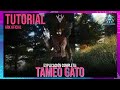 CÓMO TAMEAR AL GATO DE FORMA FÁCIL Y RÁPIDA ! | #Vattghornn