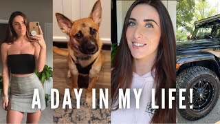 A Day In My Life Work, Dogs & Play Brittany Bolt
