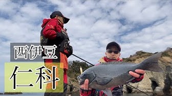 グレ釣り Youtube