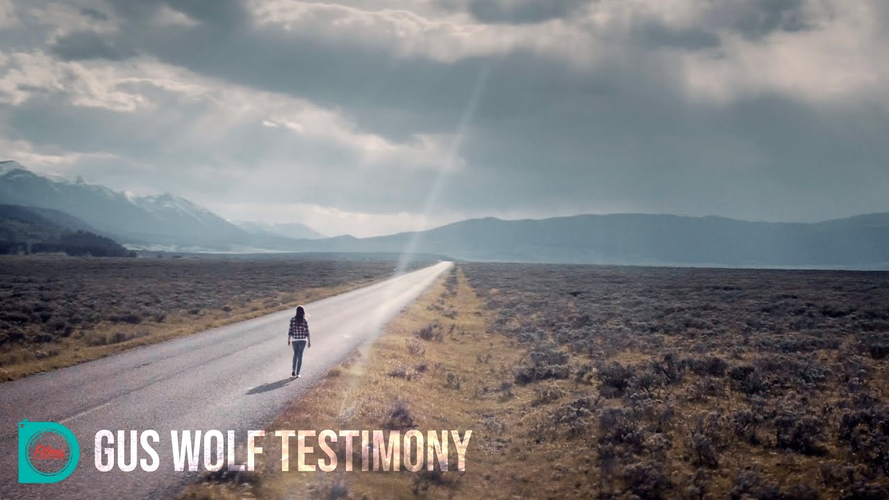 Gus Wolf Testimony
