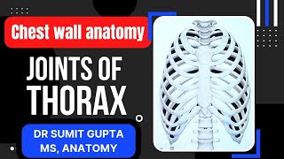 JOINTS OF THORAX : ANATOMY