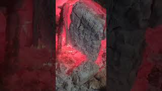 winter #animal #video #song #all #pjtv