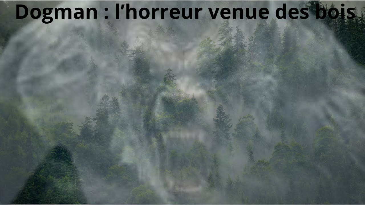 Le Dogman est-il réel ? Ce que l’on vous cache......PARANORMAL