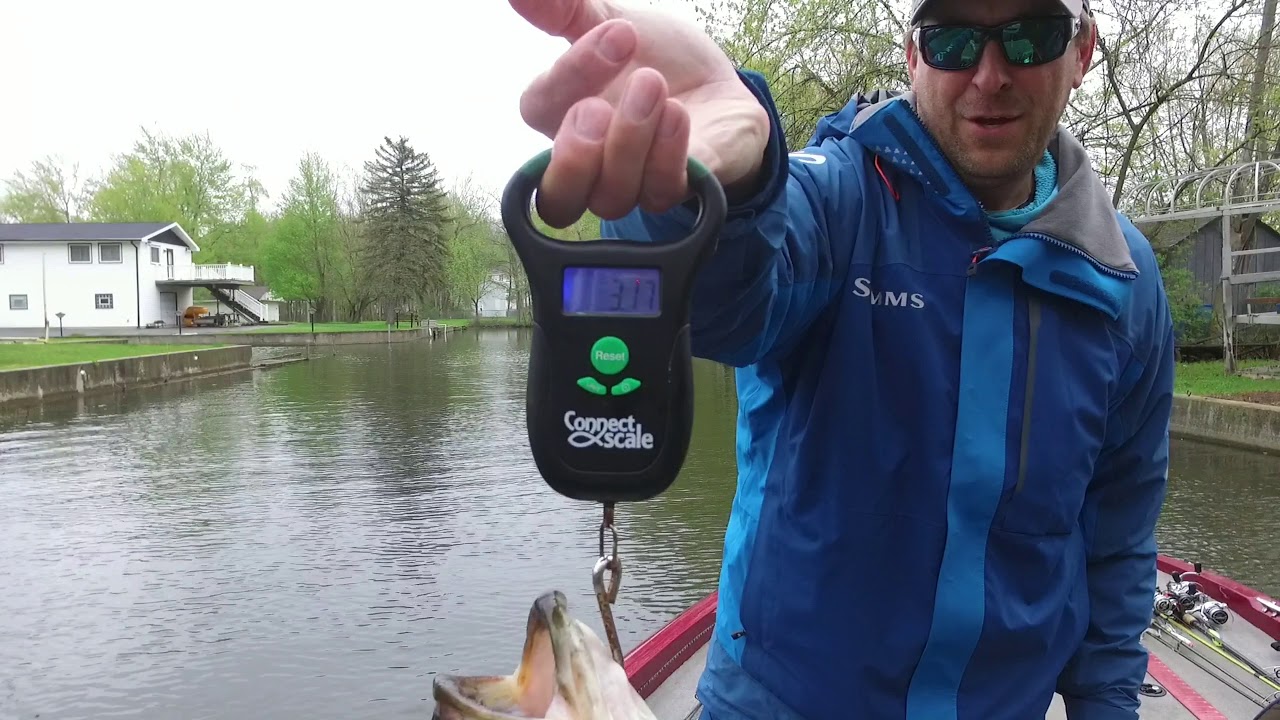 Fishing for Big Michigan Spawning Bass YouTube