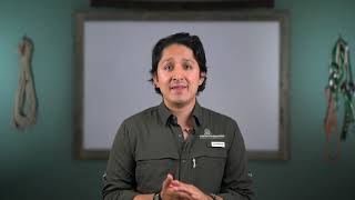 When Is The Best Time To Trim My Trees?