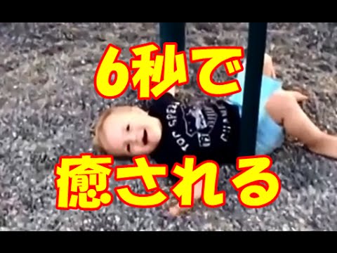 【6秒で笑える】おもしろおバカ映像 【Vine】Twitterで話題！赤ちゃん子供編