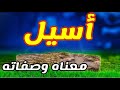 معنى اسم اسيل و صفات حاملة هذا الإسم !!