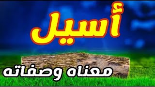 معنى اسم اسيل و صفات حاملة هذا الإسم !!