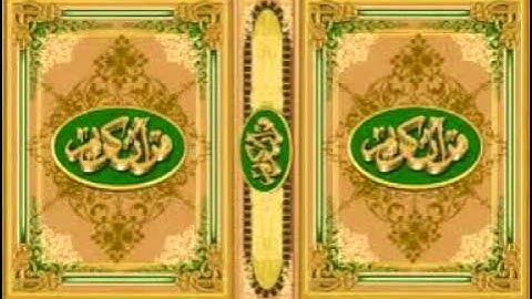 سورة الحجرات   أحمد نعينع