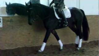 DSCF3030.AVI
