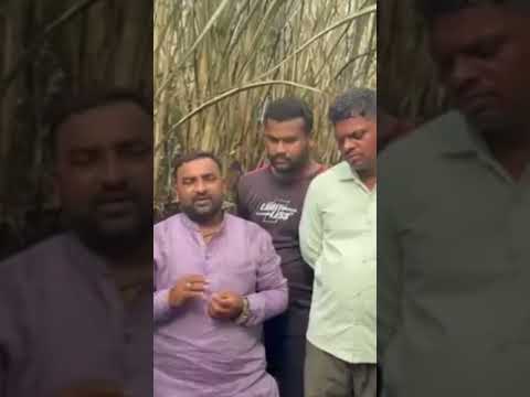 मुस्तीत बळीराजावर आगीचा घाला ! ७ एकर ऊस राखरांगोळी, ८ लाख होत्याचं नव्हतं !