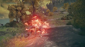 Elden ring mod test Hinokami