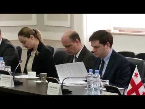 EWG-ის სამუშაო ჯგუფის შეხვედრა საქართველოსა და აშშ-ის შორის