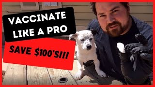 Spectra 5 Puppy Vaccine