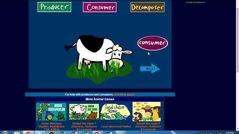 Components of ecosystem