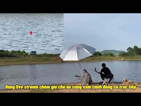 Tổng Hợp Các Pha Mất Hình Đẹp Cho Các Bác Xem Đỡ Vật