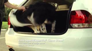 Bob Baker Volkswagen June 2012 TV Commercial