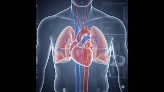 The Anatomy Lab #TheAnatomyLab #Anatomy #MedicalEducation #YouTubeShorts #ViralShorts