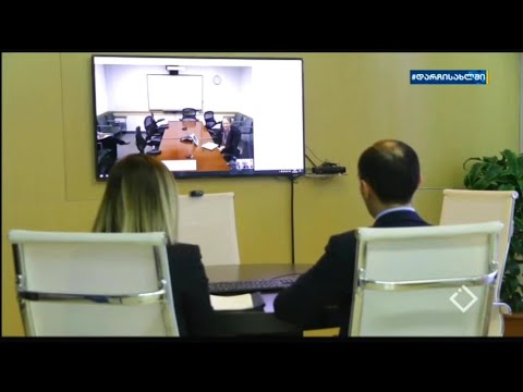 ონლაინ შეხვედრა გარემოს დაცვისა და სოფლის მეურნეობის მინისტრსა და აშშ-ს ელჩს შორის