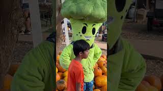 Pumpkin Patch #2