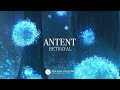 Antent - Betrayal [New Dawn Collective]