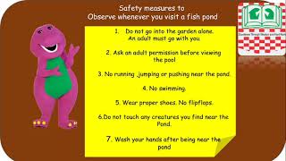 A Visit to a Fish Pond (Nursery 2 Cultural Studies) News
