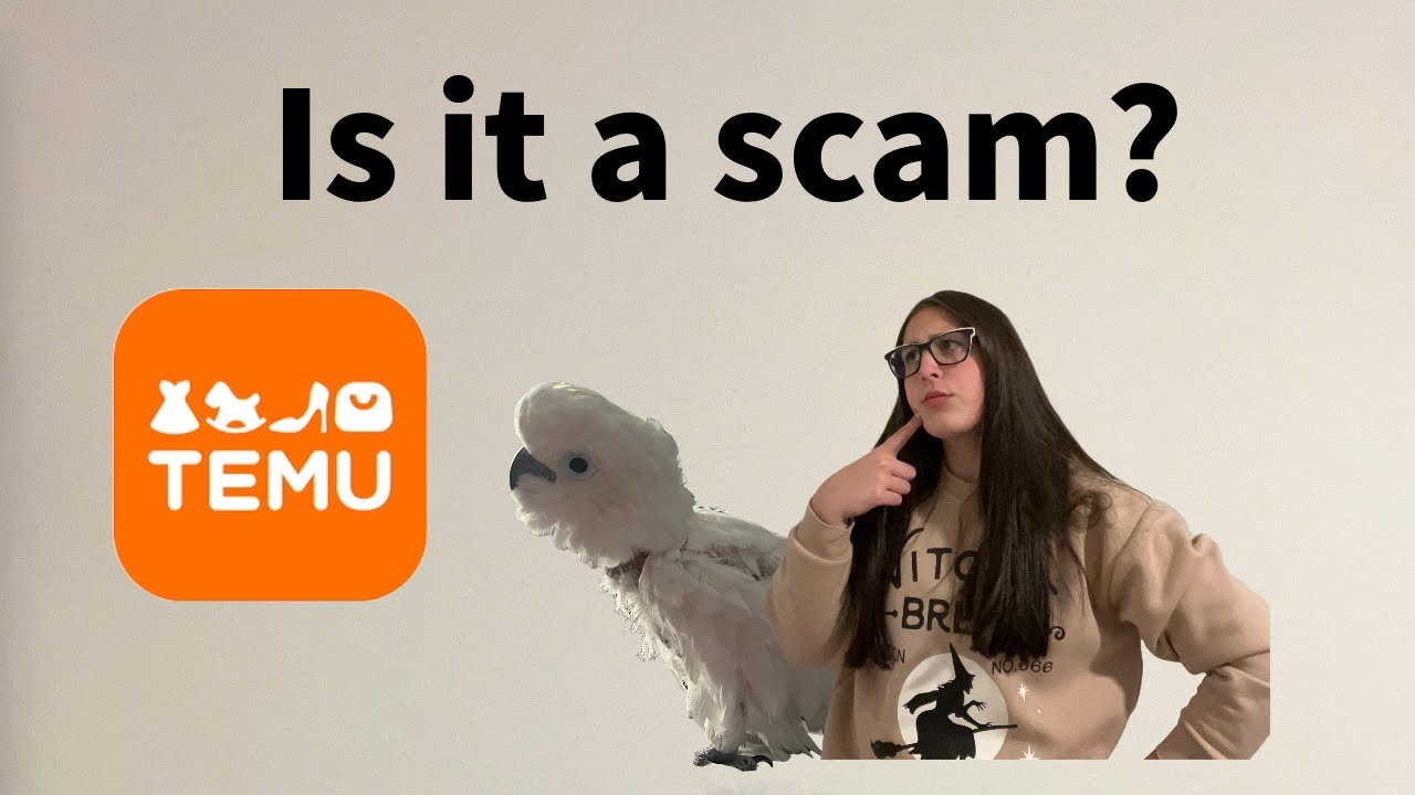 Buying bird toys from TEMU(not sponsored)!! Is it a scam? 