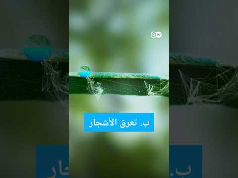 #وثائقي #shorts الأنهار الطائرة في غابات الأمازون