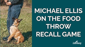 Michael Ellis on The Food Throw Recall Game
