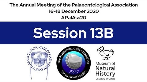 #PalAss20 Session 13B