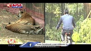Visitors Enjoying Cycling At Kanpur Zoo Park | V6 Teenmaar News Visitors Enjoying Cycling At Kanpur Zoo Park | V6 Teenmaar News