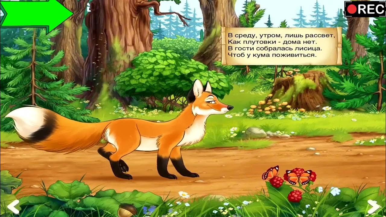 Ылғал киска секс видео