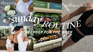 SUNDAY ROUTINE✨cleaning the apartment, grocery shop w/ me, + productive wellness habits!