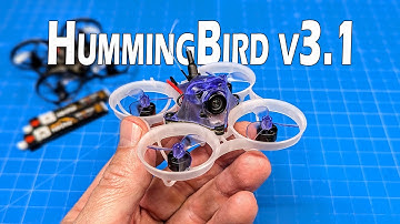 NewBeeDrone HummingBird v3.1 // No Outside Flight - Missed My Weather Window