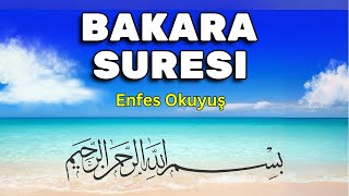 BAKARA SURESİ - "ŞEYTAN, içinde Bakara sûresi okunan evden ürker ve uzaklaşır". Al Baqarah. Бақара.