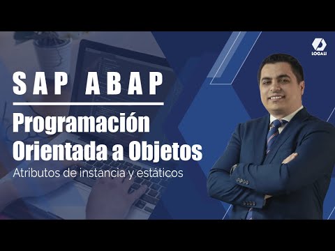 Curso SAP ABAP Programación OO - Atributos de instancia y estáticos