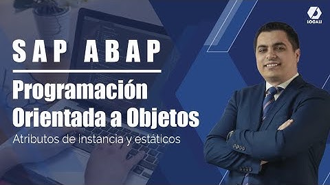 Curso SAP ABAP Programación OO - Atributos de instancia y estáticos