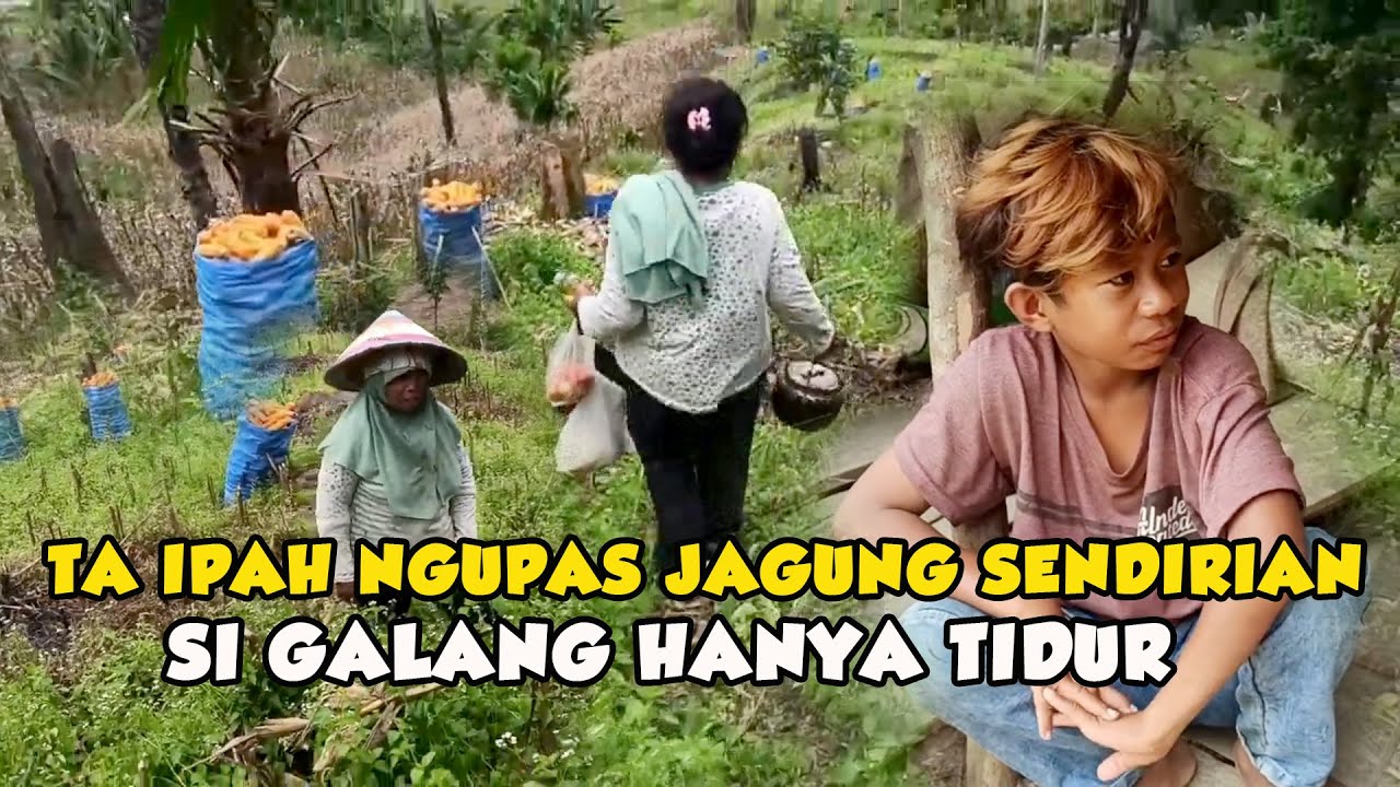 SUKU DI ASINGKAN POLAHI GORONTALO JAMAN DAHULU 