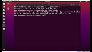 /proc/version - Exemplo de uso do sistema de arquivos /proc do Linux
