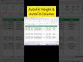 AutoFit Height & AutoFit Column #exceltips #excelbangla #spreadsheetmagic #dataanalysis #datascience